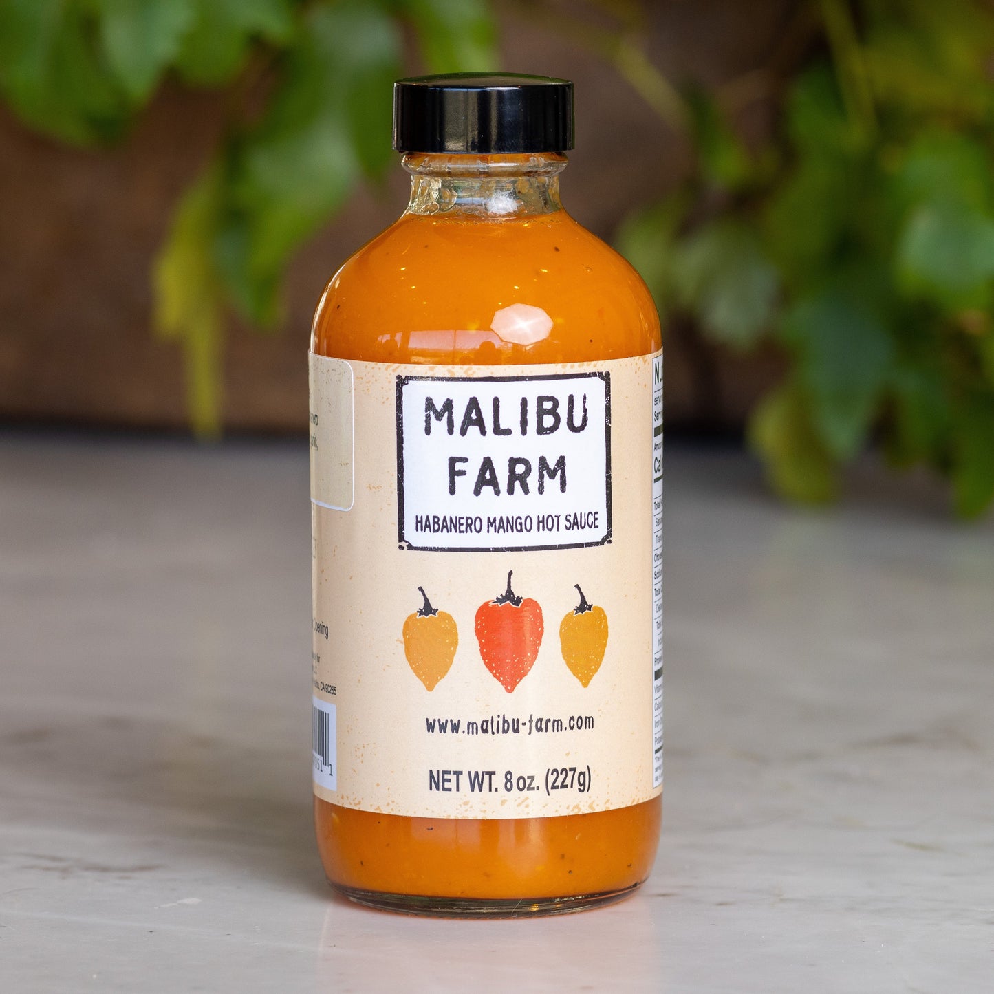 Habanero Mango Hot Sauce